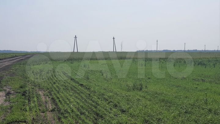 Участок 4 га (ИЖС)