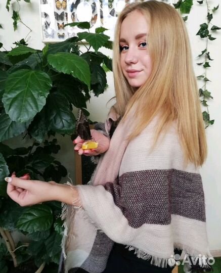 Педагог по русскому языку и литературе