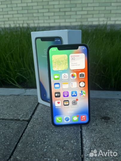 iPhone X, 256 ГБ
