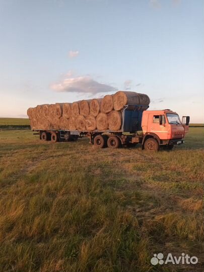 Сено в рулонах луговое и степное 2023 года