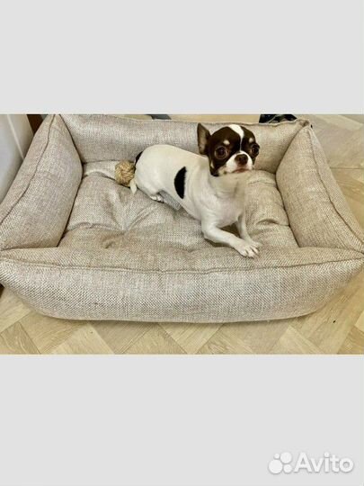 Лежанка для собак и кошек + игрушка в подарок