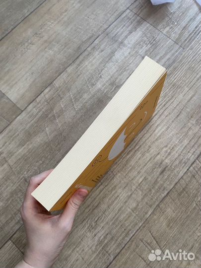 Книга миф Организованный ум Дэниел Левитин