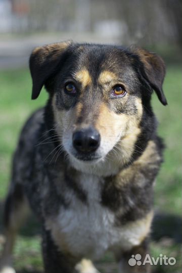 Молодая, ласковая и очень нежная девочка