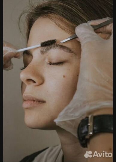 Обучение бровист