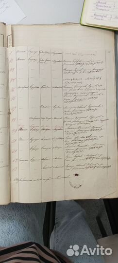 Генеалогия, семейное дерево