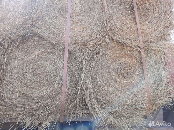 Продаю сено в рулонах для крс