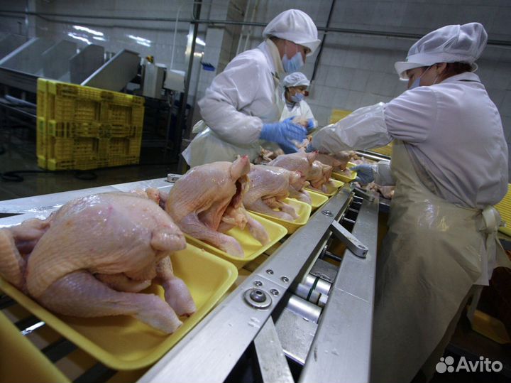 Упаковщицы полуфабрикатов из курицы/Одинцово