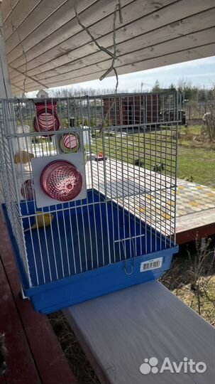 Клетка для грызунов бу