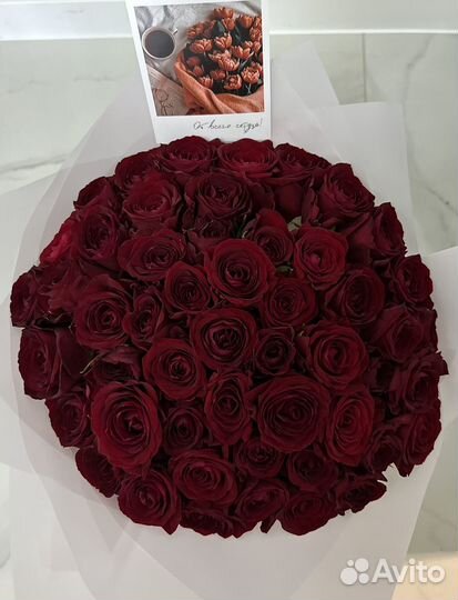 Роза 51 Саранск