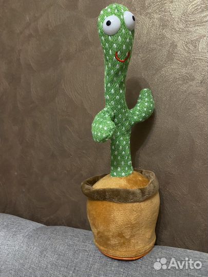 Кактус говорящий