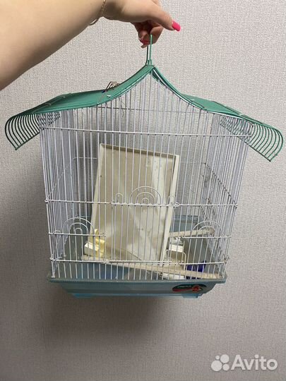 Клетка для попугая бу
