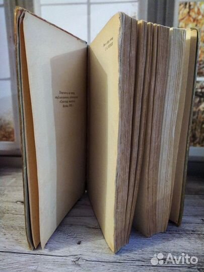 Роман «Сердце Бонивура» Дмитрия Нагишкина