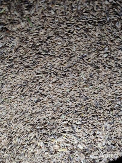 Продажа зерна