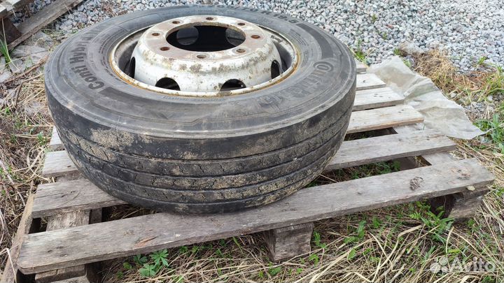 Резина r 19.5 continental