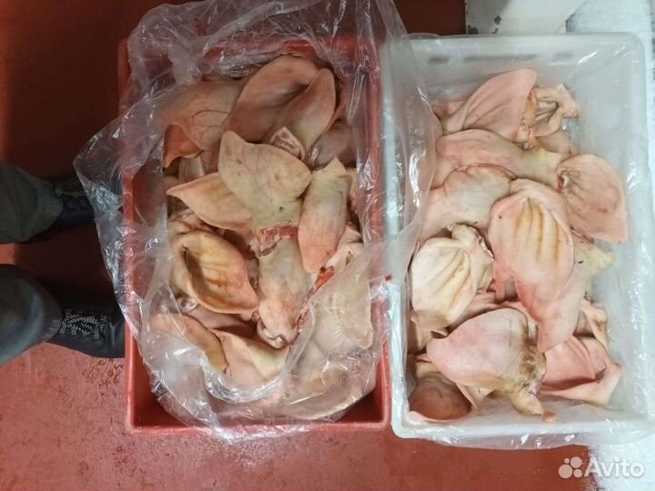 Уши свиные(Оптом)