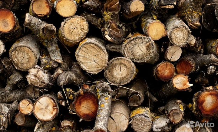 Дрова осина