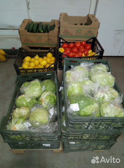 Продукция на корм животным