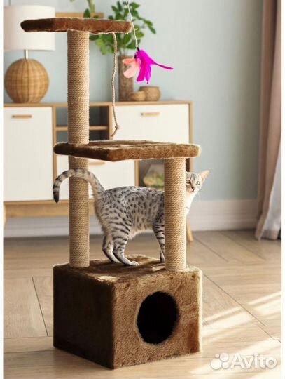 Домик для кошки новый