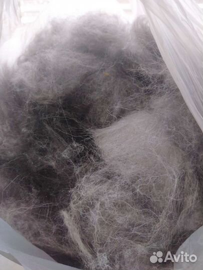 Шерсть собаки