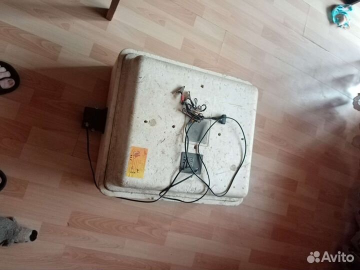 Инкубатор для яиц