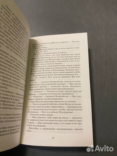 Эрин Хантер Коты воители главная надежда