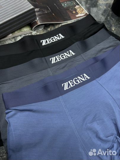 Трусы Zegna