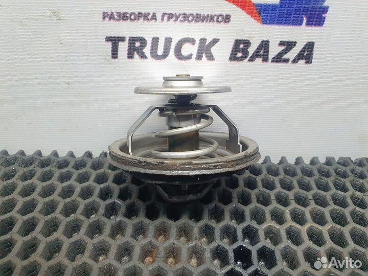 51064020063 Термостат