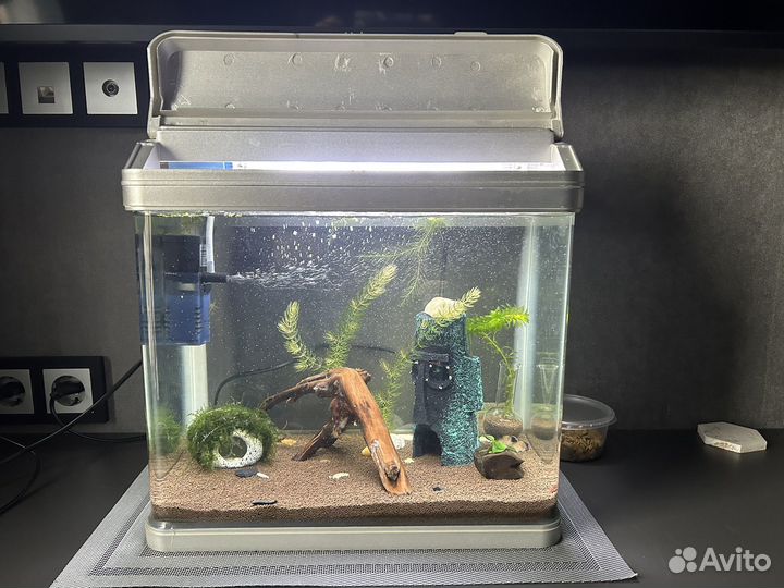 Аквариум 20 литров с рыбками и оборудованием