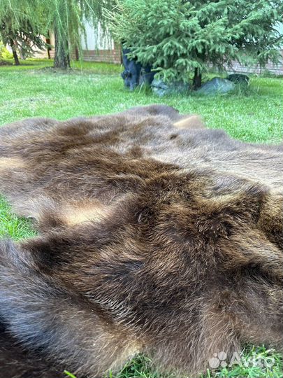 Медвежья шкура, имитация