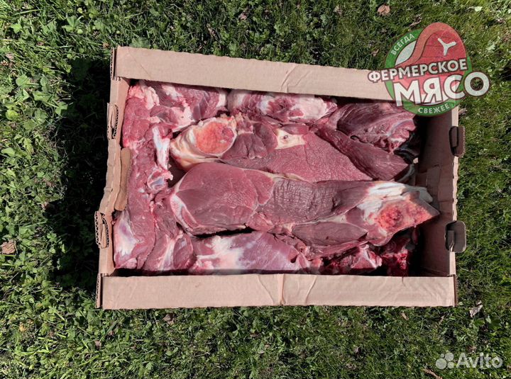 Мясо говядина