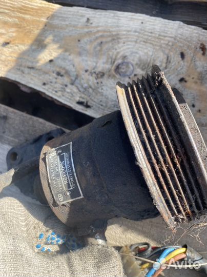 Гур на волгу