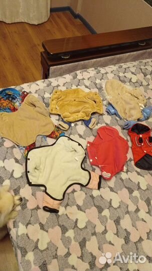 Одежда для маленькой собачки