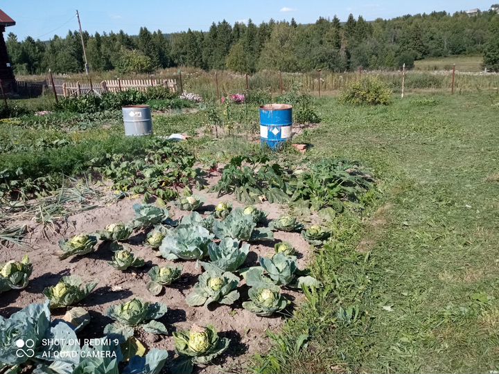 Дом 42 м² на участке 25 сот.