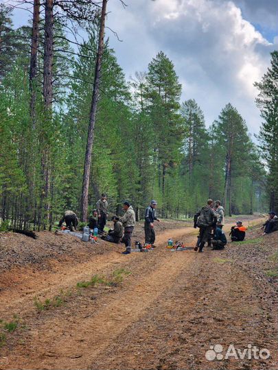 Лесовосстановление, расчистка просек, площадок, вы