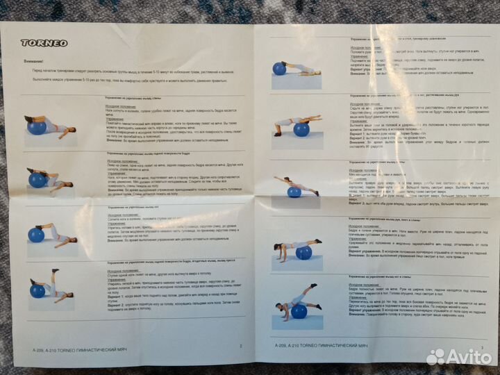 Мяч гимнастический Torneo с насосом на вес до200кг