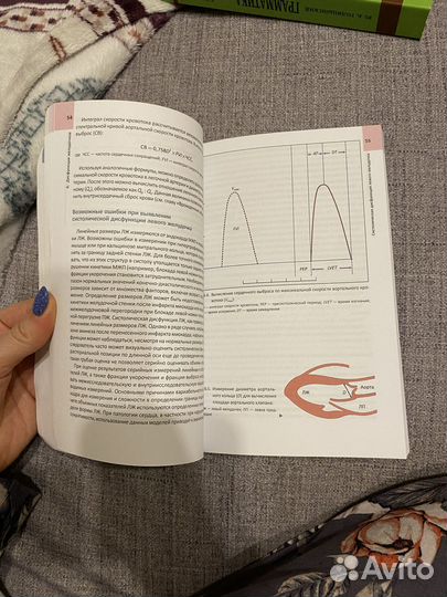 Эхокардиография, эхокг, лутра