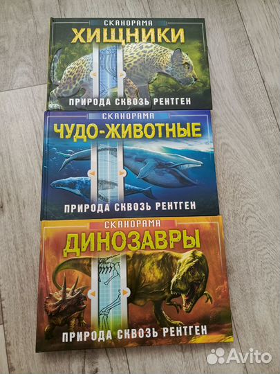 Сканорама - энциклопедия