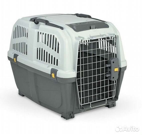 Переноска для собак в аренду