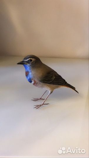 Ватная интерьерная игрушка птичка