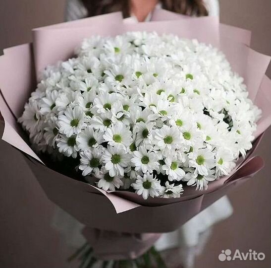 Хризантема Букеты с доставкой