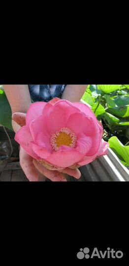 Рыбалка в астраханской обл