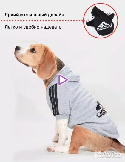 Одежда для маленьких пород собак и кошек