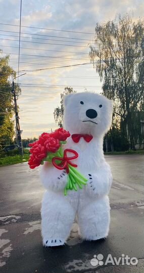 Белый мишка поздравление в Туле