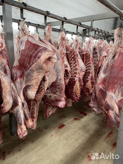 Мясо говядина набор