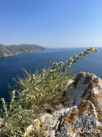 Экскурсия на Байкал однодневная, Ольхон