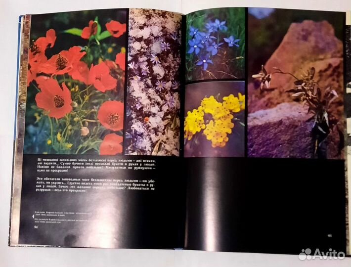 Покоренные вершины / Скоренi вершини Фотоальбом