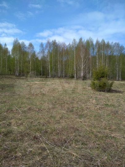 Участок 5,59 га (СНТ, ДНП)