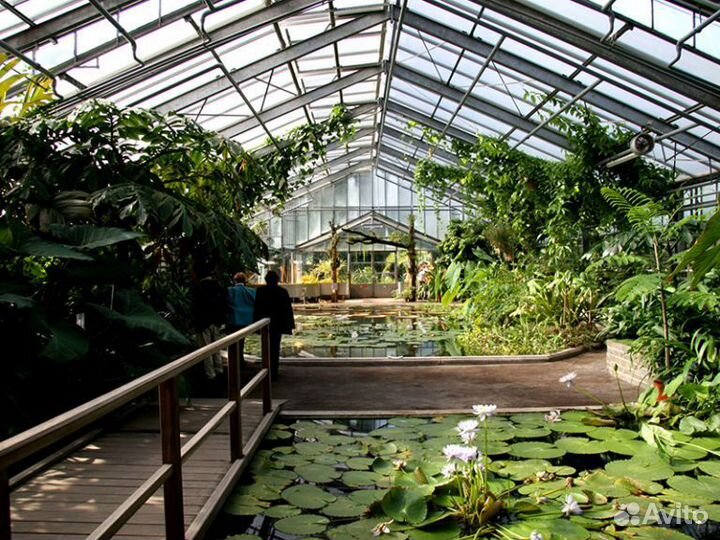 Экскурсия в Гербарий и Ботанический сад СПБГУ