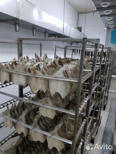 Камеры сушки и вяления рыбы (вялка) В наличии