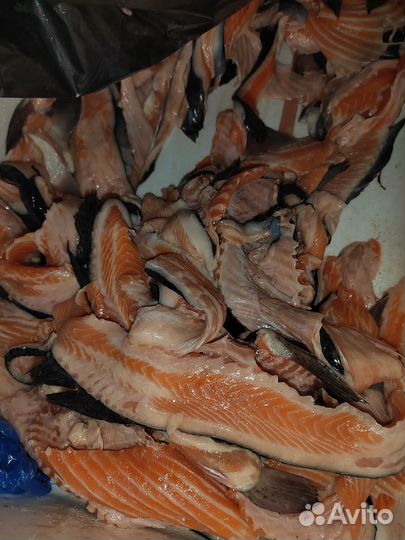 Обрезь форели